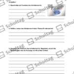 Vorschaubild von Arbeitsblatt