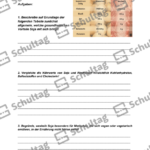 Vorschaubild von Arbeitsblatt