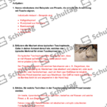 Vorschaubild von Arbeitsblatt