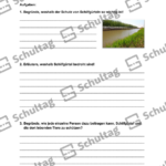 Vorschaubild von Arbeitsblatt