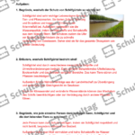 Vorschaubild von Arbeitsblatt