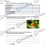 Vorschaubild von Arbeitsblatt