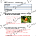 Vorschaubild von Arbeitsblatt
