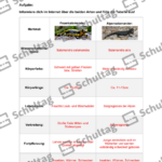 Vorschaubild von Arbeitsblatt