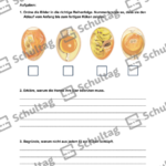 Vorschaubild von Arbeitsblatt