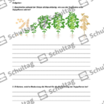 Vorschaubild von Arbeitsblatt