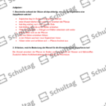 Vorschaubild von Arbeitsblatt