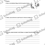 Vorschaubild von Arbeitsblatt