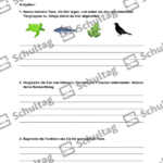 Vorschaubild von Arbeitsblatt