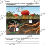 Vorschaubild von Arbeitsblatt