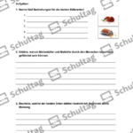Vorschaubild von Arbeitsblatt