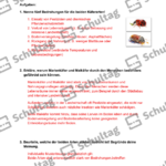 Vorschaubild von Arbeitsblatt