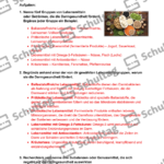 Vorschaubild von Arbeitsblatt
