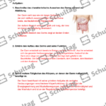 Vorschaubild von Arbeitsblatt