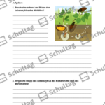 Vorschaubild von Arbeitsblatt