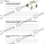 Vorschaubild von Arbeitsblatt