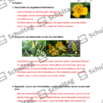 Vorschaubild von Arbeitsblatt