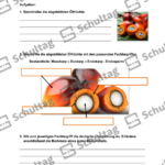 Vorschaubild von Arbeitsblatt