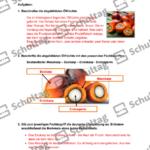 Vorschaubild von Arbeitsblatt