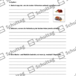 Vorschaubild von Arbeitsblatt