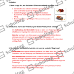 Vorschaubild von Arbeitsblatt