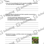 Vorschaubild von Arbeitsblatt
