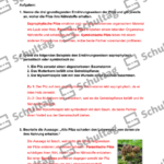 Vorschaubild von Arbeitsblatt