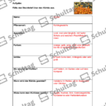 Vorschaubild von Arbeitsblatt