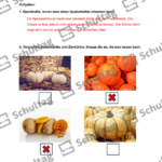 Vorschaubild von Arbeitsblatt