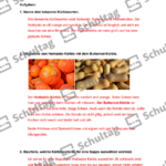 Vorschaubild von Arbeitsblatt