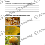 Vorschaubild von Arbeitsblatt