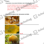 Vorschaubild von Arbeitsblatt