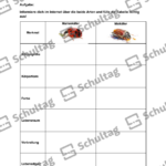 Vorschaubild von Arbeitsblatt