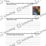 Vorschaubild von Arbeitsblatt