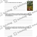 Vorschaubild von Arbeitsblatt