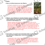 Vorschaubild von Arbeitsblatt