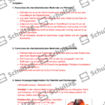 Vorschaubild von Arbeitsblatt