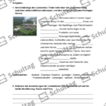 Vorschaubild von Arbeitsblatt