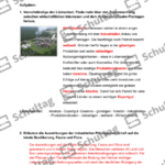 Vorschaubild von Arbeitsblatt
