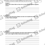 Vorschaubild von Arbeitsblatt