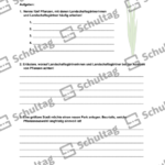 Vorschaubild von Arbeitsblatt