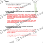 Vorschaubild von Arbeitsblatt