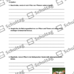 Vorschaubild von Arbeitsblatt