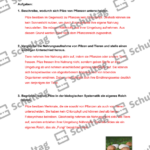 Vorschaubild von Arbeitsblatt