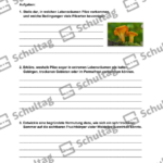Vorschaubild von Arbeitsblatt