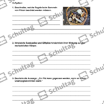 Vorschaubild von Arbeitsblatt