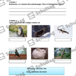 Vorschaubild von Arbeitsblatt