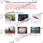 Vorschaubild von Arbeitsblatt