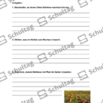 Vorschaubild von Arbeitsblatt